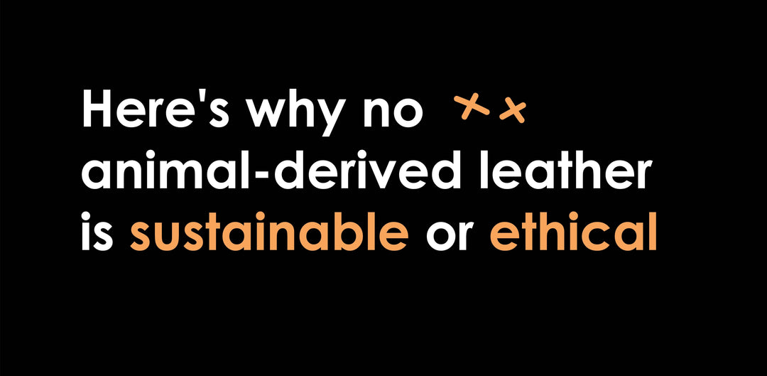 Here's Why No Animal-Derived Leather is Sustainable or Ethical