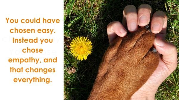Being Vegan Isn’t Always Convenient. But You Do It Anyway.