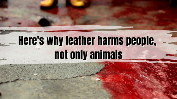 Quick guide to vegan leather – Vegan Style
